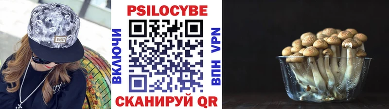 Псилоцибиновые грибы Magic Shrooms  Приволжск 